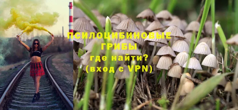 где купить наркоту  ОМГ ОМГ вход  Галлюциногенные грибы MAGIC MUSHROOMS  Добрянка 